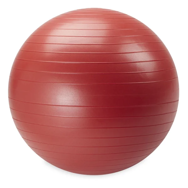 65cm Medium Weighted Stability Ball