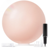 Professional Exercise Ball for Workout 55cm (Blush Pink)